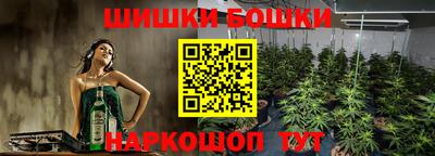 спайс Аргун