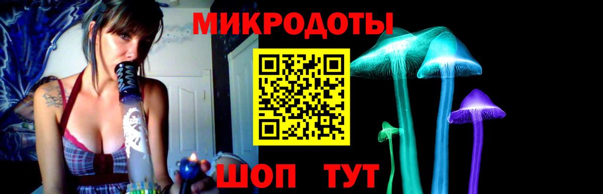 Псилоцибиновые грибы Cubensis Волжский